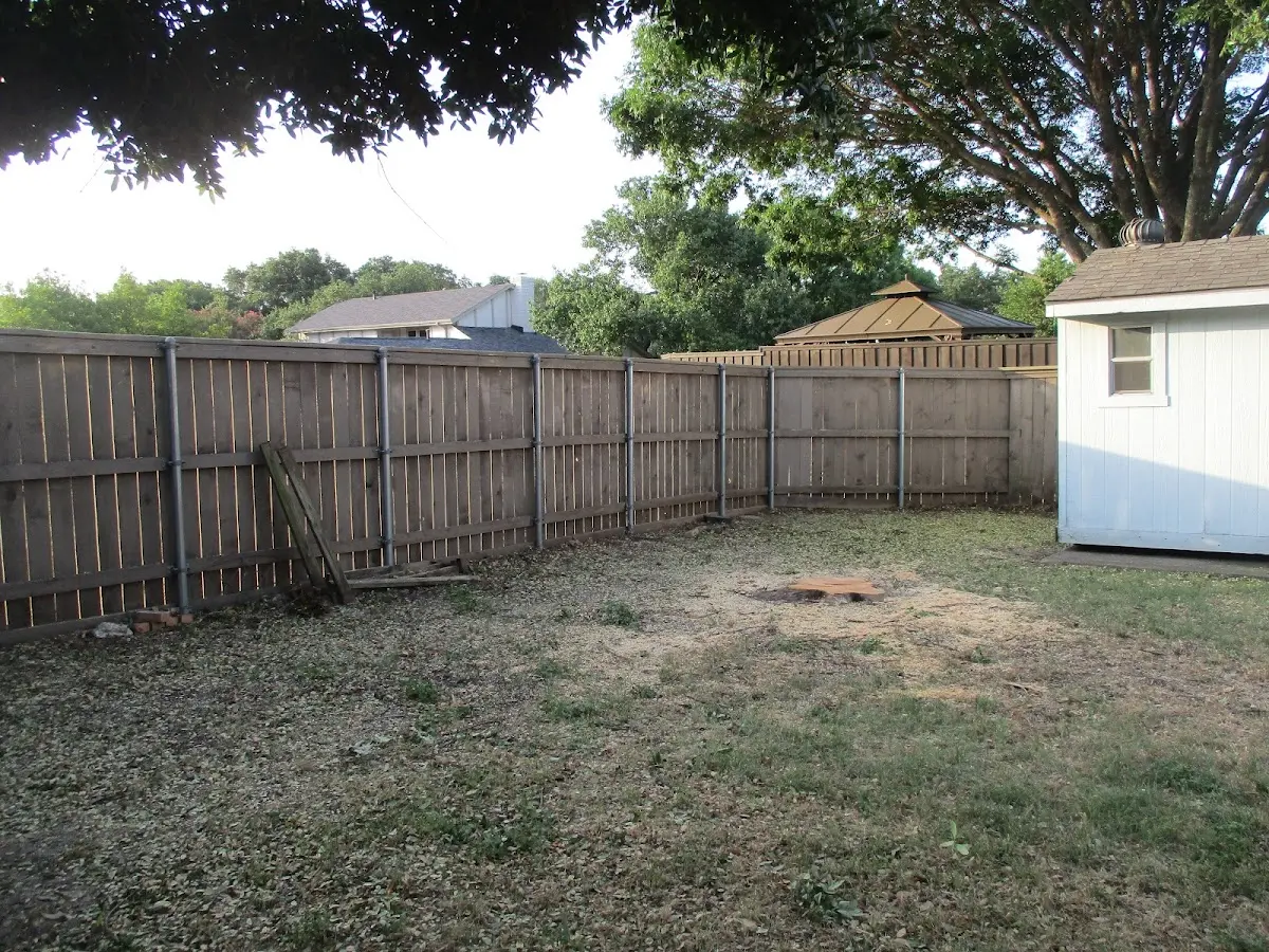 Cleared yard after professional tree removal in Kaibeto