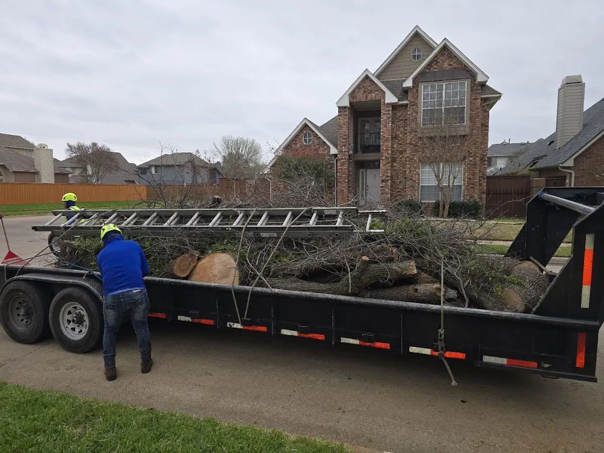 Expert Lot Clearing with proper safety equipment in Kaibeto